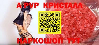 2c-b Кингисепп