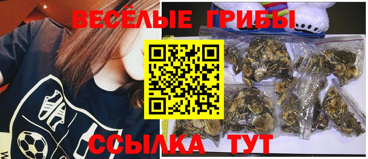 Кувандык  Псилоцибиновые грибы Cubensis  Псилоцибиновые грибы MAGIC MUSHROOMS  Вход с VPN 