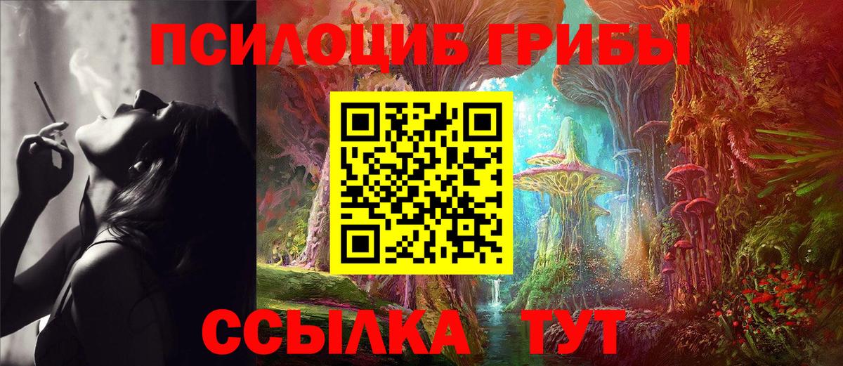 Псилоцибиновые грибы мицелий Кувандык